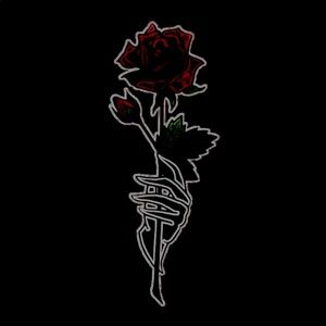 Meet your Posher, Bridget wooldridge